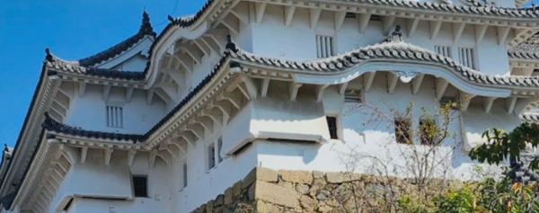 Mongolia Homestay Mongolia Homestay