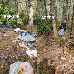 cleaning up homeless encampment